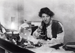 Marie Stopes